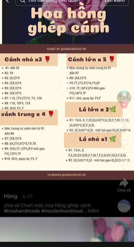 Chart hoa hồng ecuador chi tiết cho người mới bắt đầu