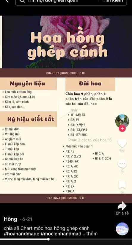 Chart hoa hồng ecuador chi tiết cho người mới bắt đầu