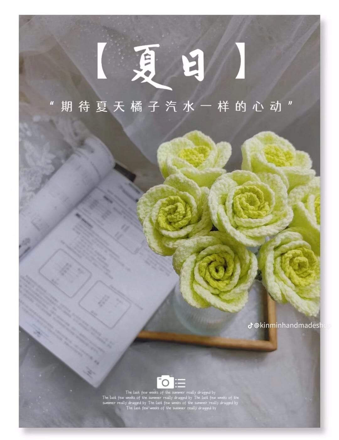 Chart hoa hồng ecuador chi tiết cho người mới bắt đầu