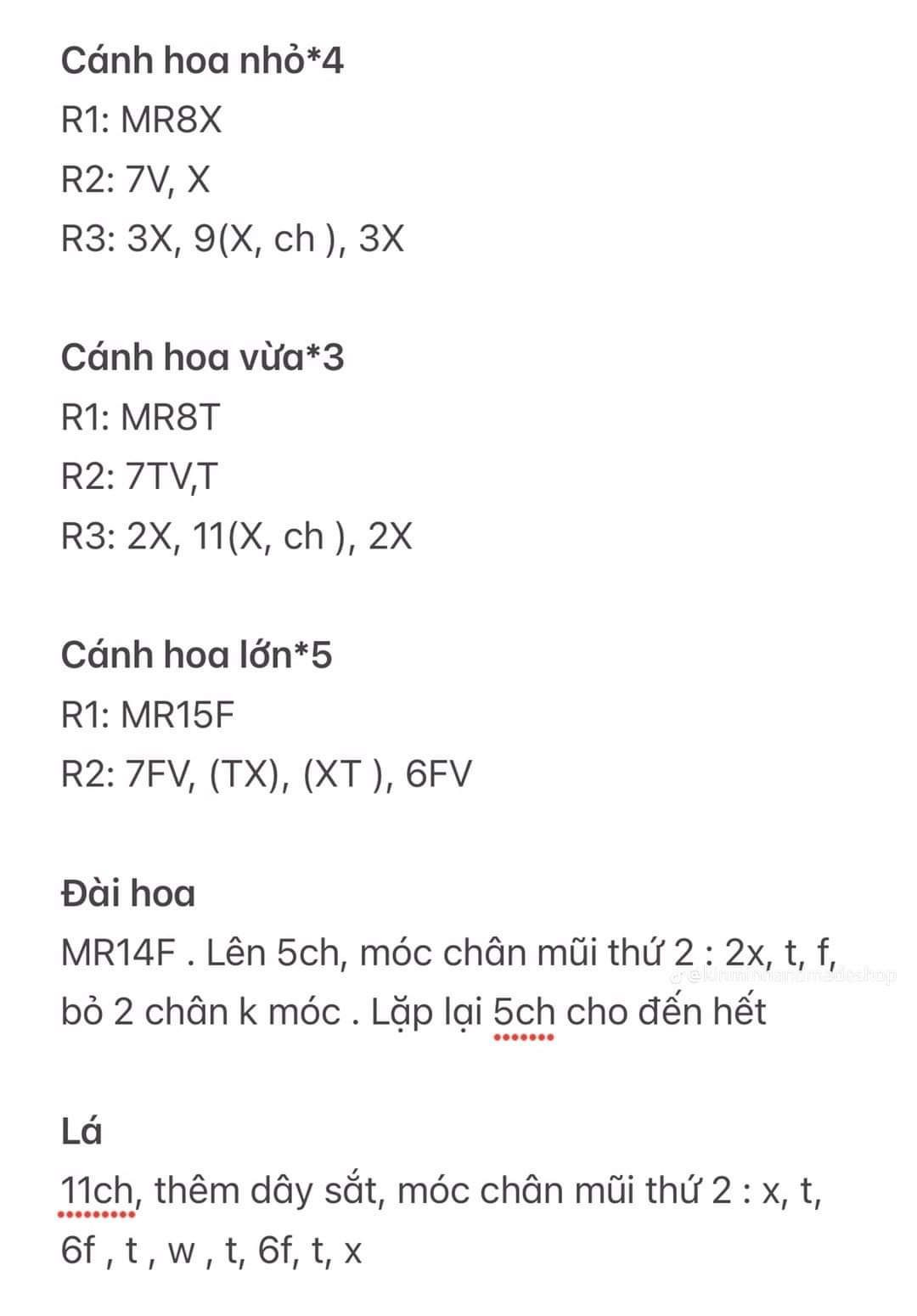 Chart hoa hồng ecuador chi tiết cho người mới bắt đầu