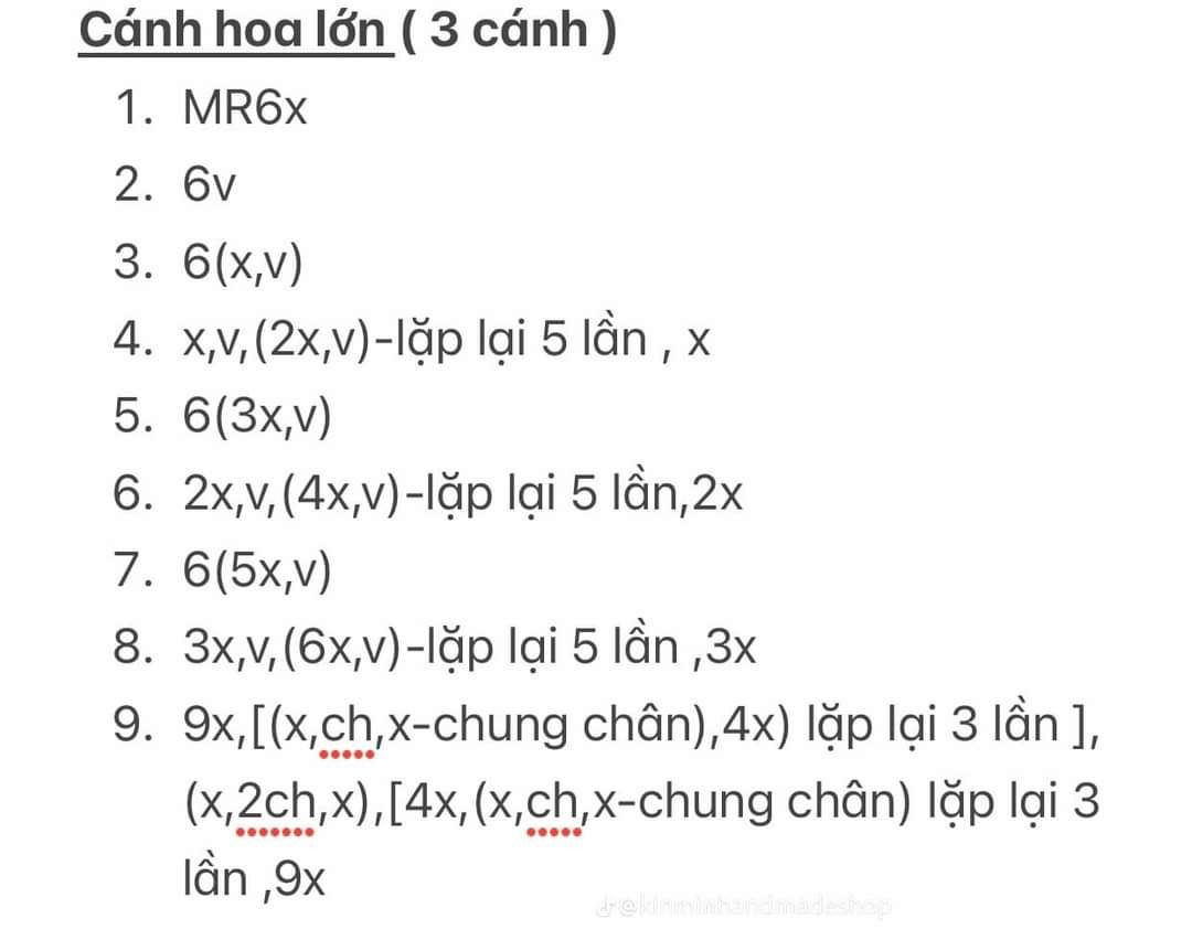 Chart hoa hồng ecuador chi tiết cho người mới bắt đầu