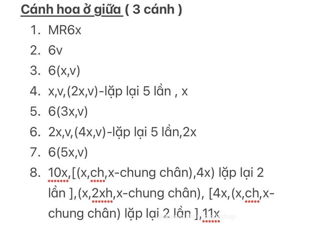 Chart hoa hồng ecuador chi tiết cho người mới bắt đầu