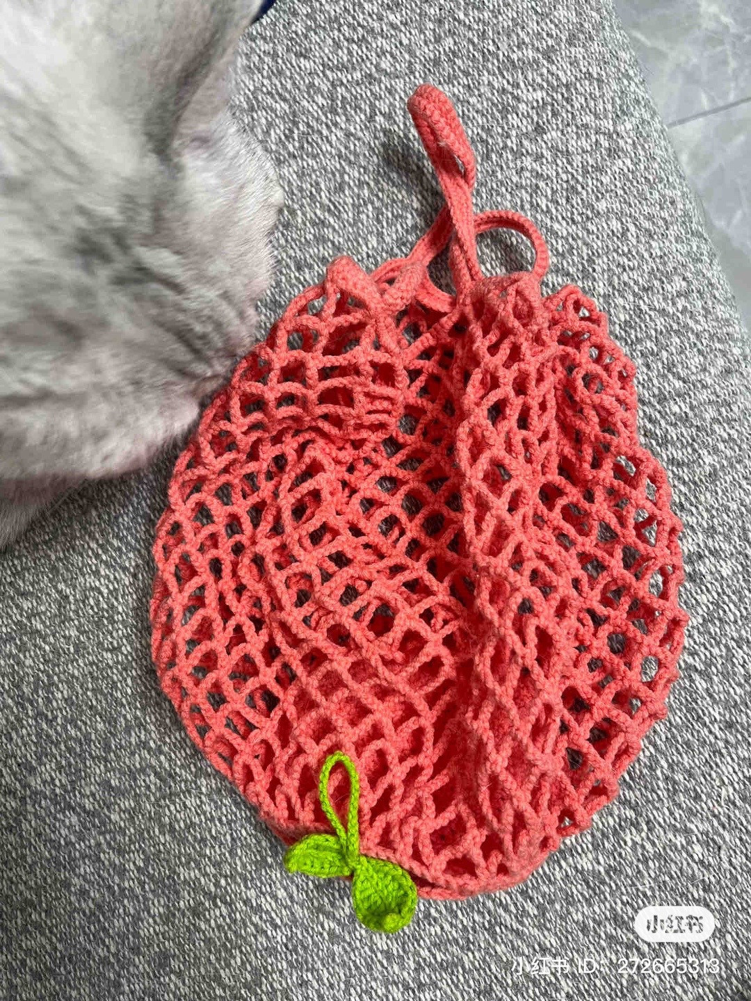 Chart hướng dẫn móc túi thằn lằn kỳ diệu với chi tiết từng bước