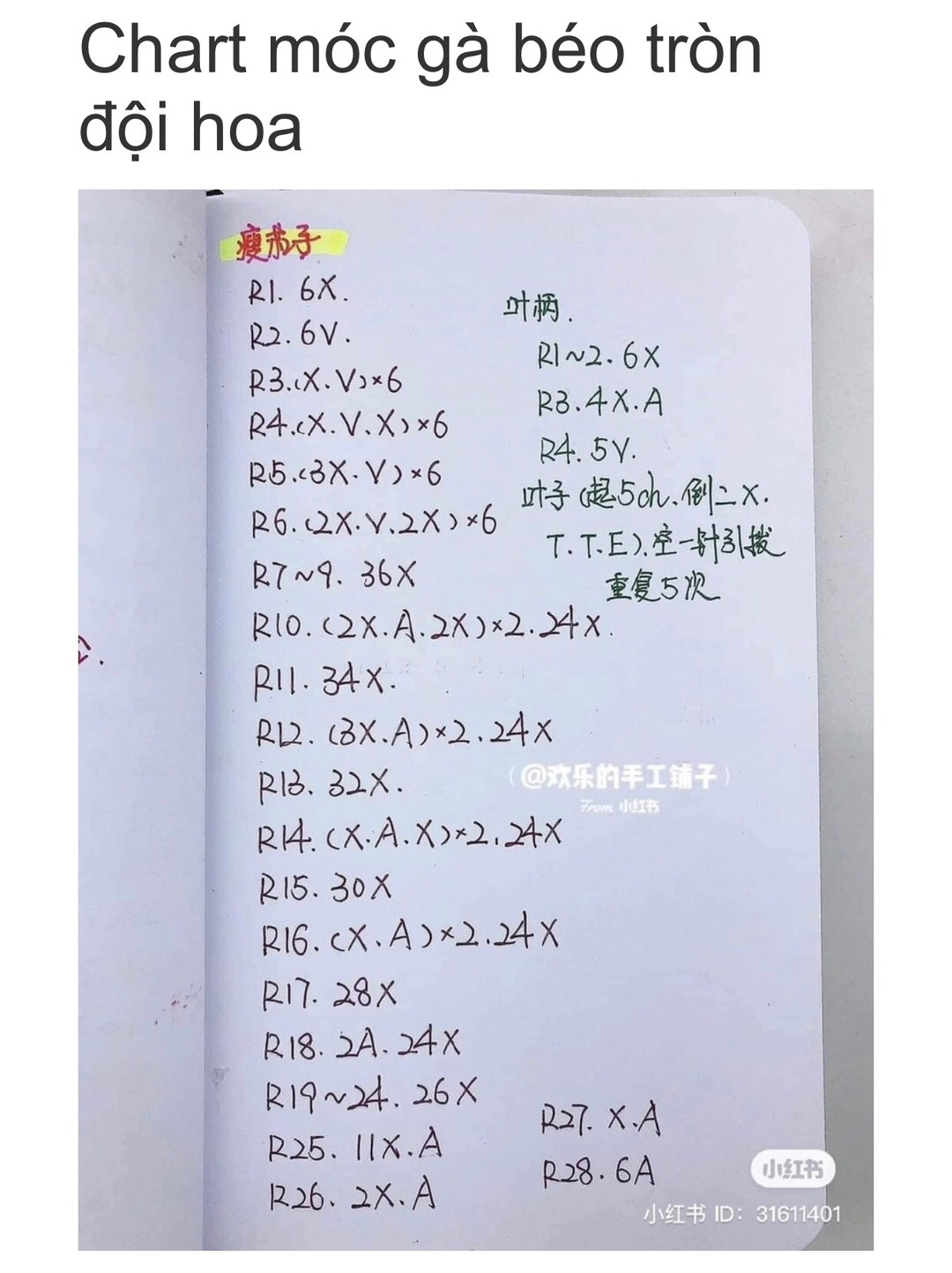 Chubby Chicken Crochet Pattern with Flower Hats