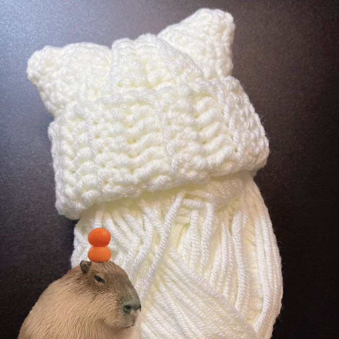 Chunky Crochet Cat Ear Hat Pattern for Beginners