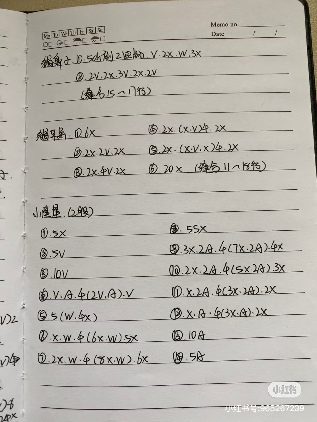 Crochet Cute Pig with Starry Night Costume Pattern