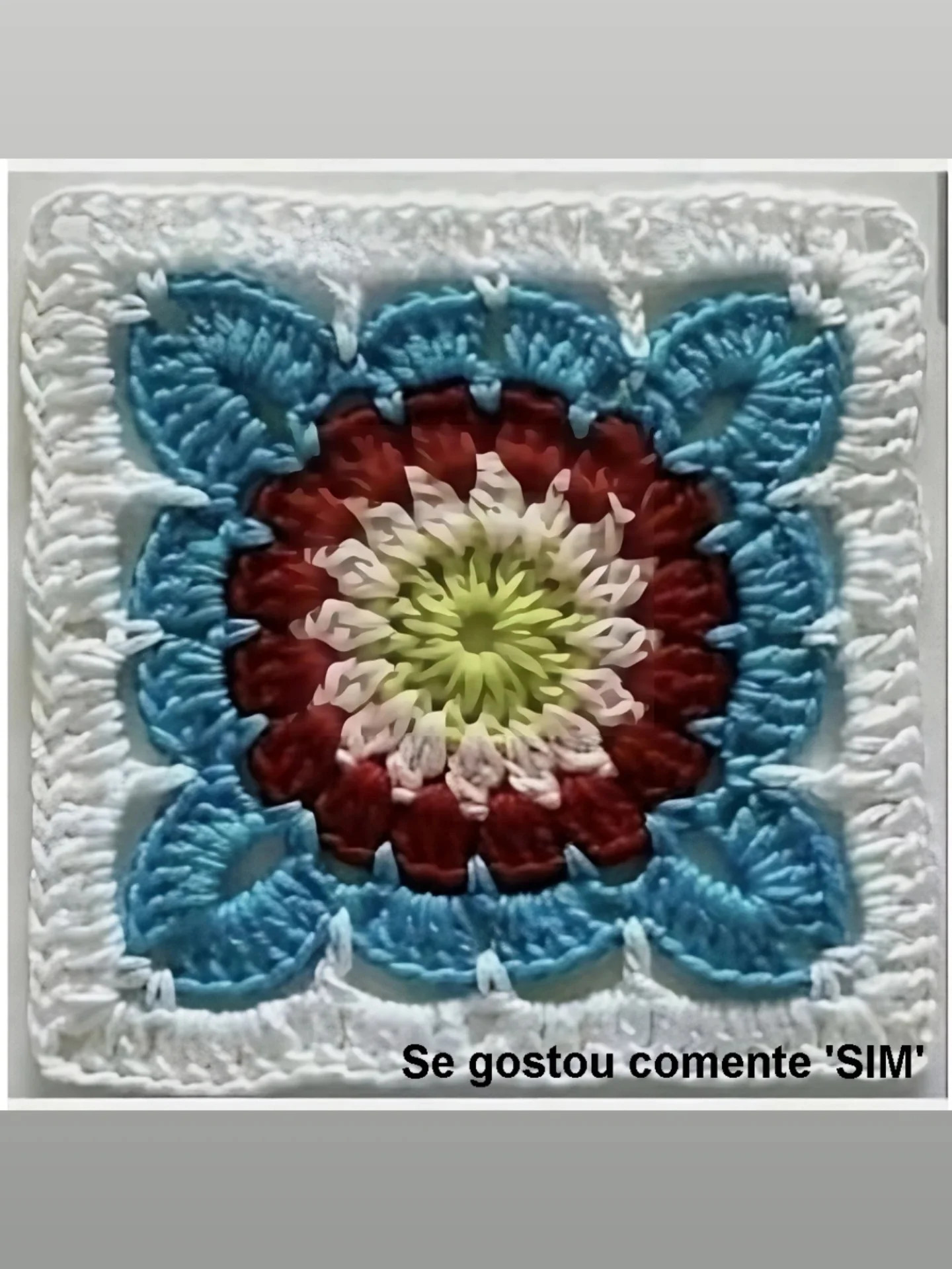 Crochet Lace Pattern for Stylish Jeans Insert