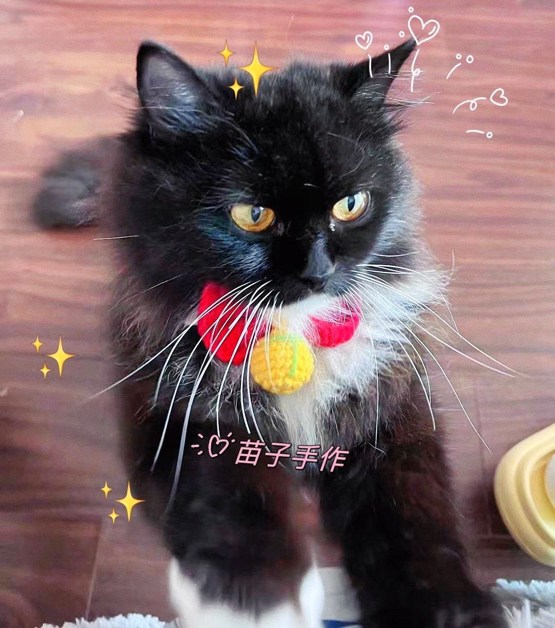 Crochet Pattern: Adorable Bow Tie for Cats with Detailed Instructions