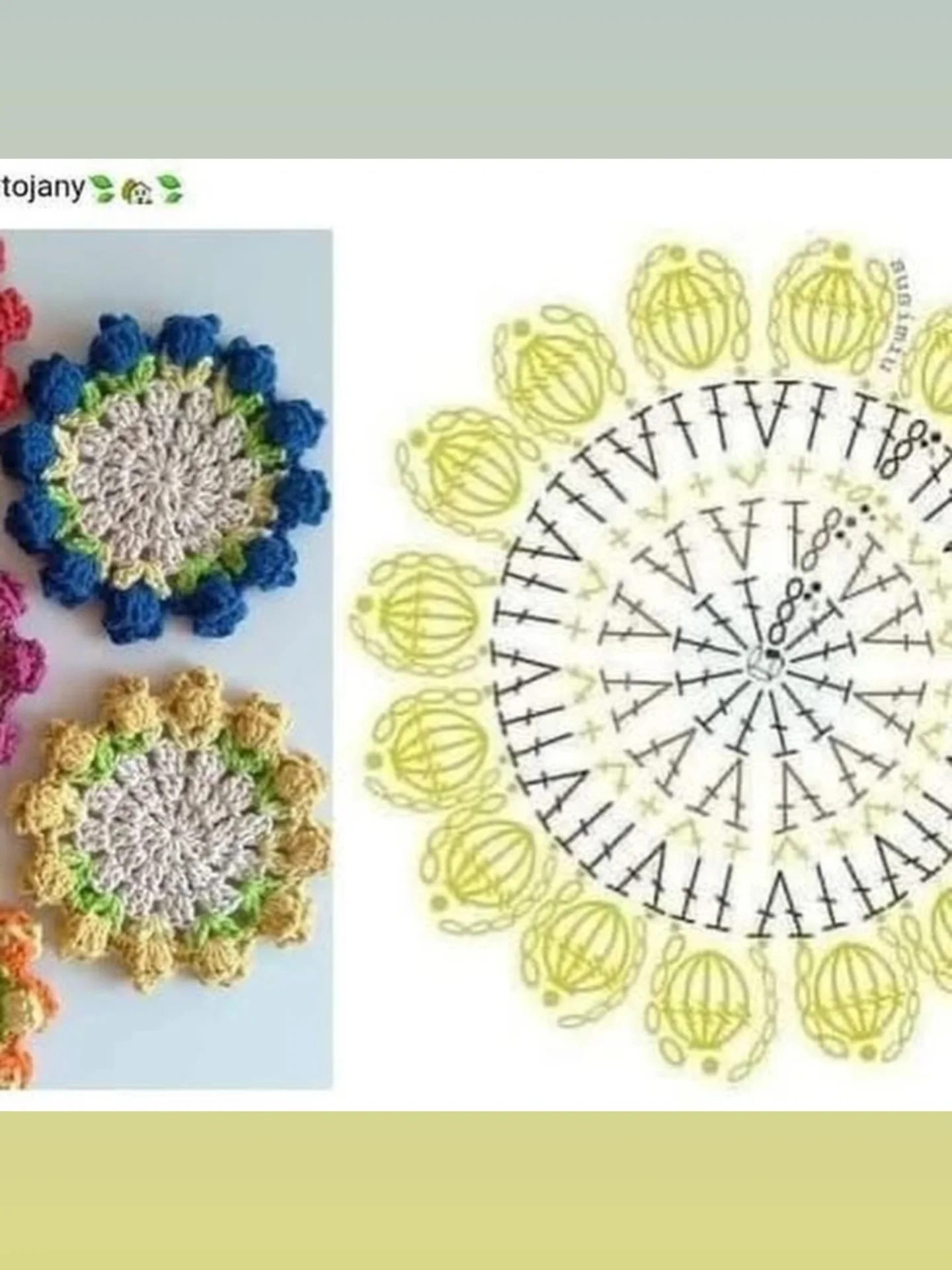 Crochet Pattern for a Beautiful Five-Petal Flower Design