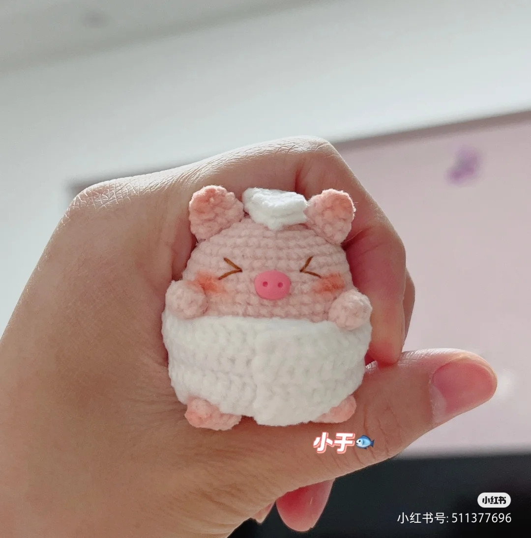 Cute Crochet Pig Amigurumi Pattern for Beginners