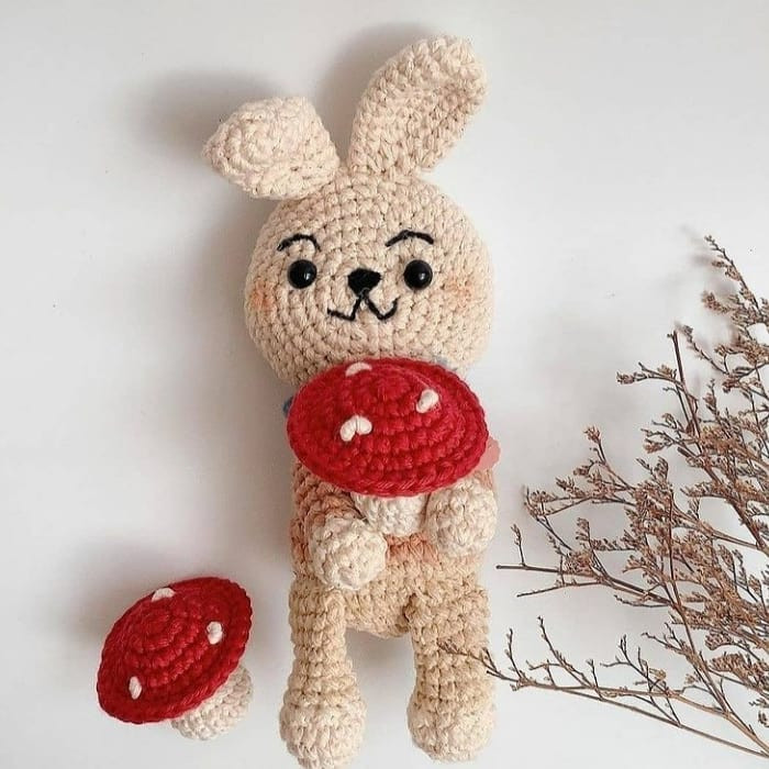 دستور بافت رایگان قارچ