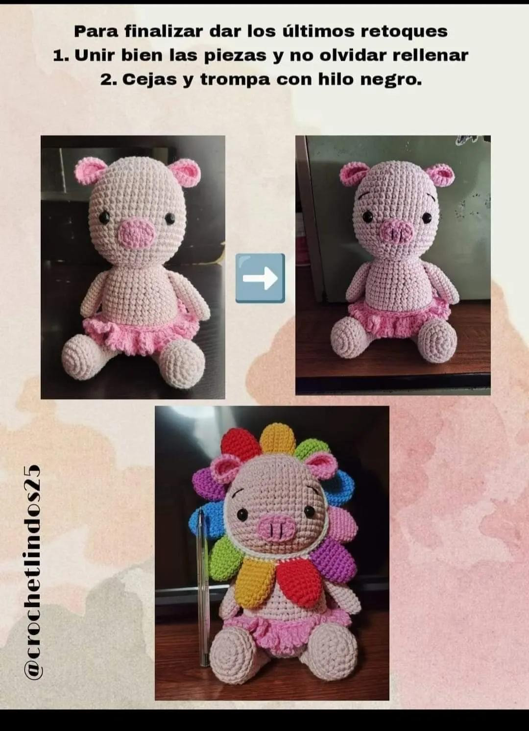 Dulce cerdito arcoíris tejido a mano para alegrar tu día