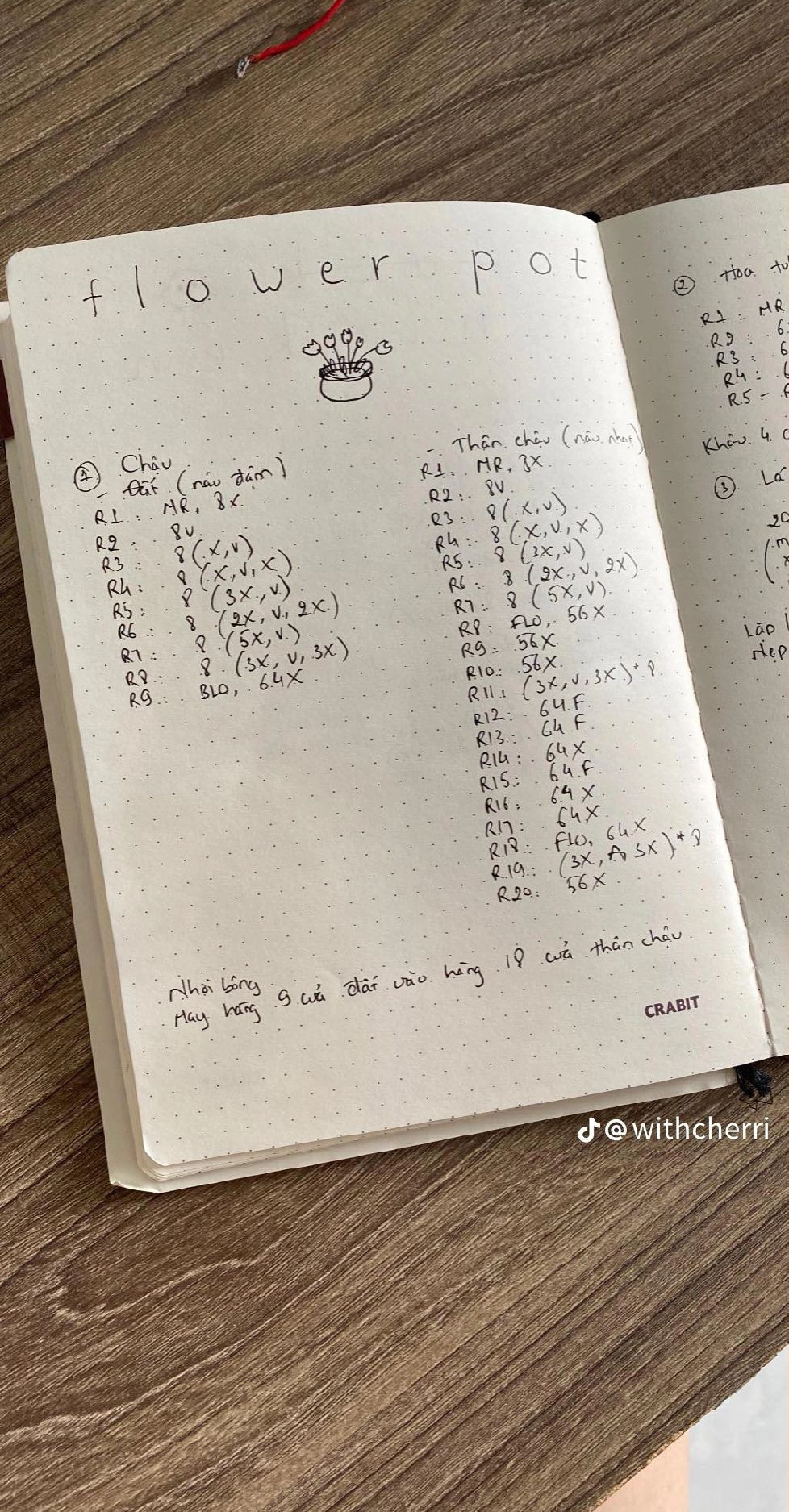 Hướng dẫn móc len hoa tulip xinh xắn cho người mới bắt đầu