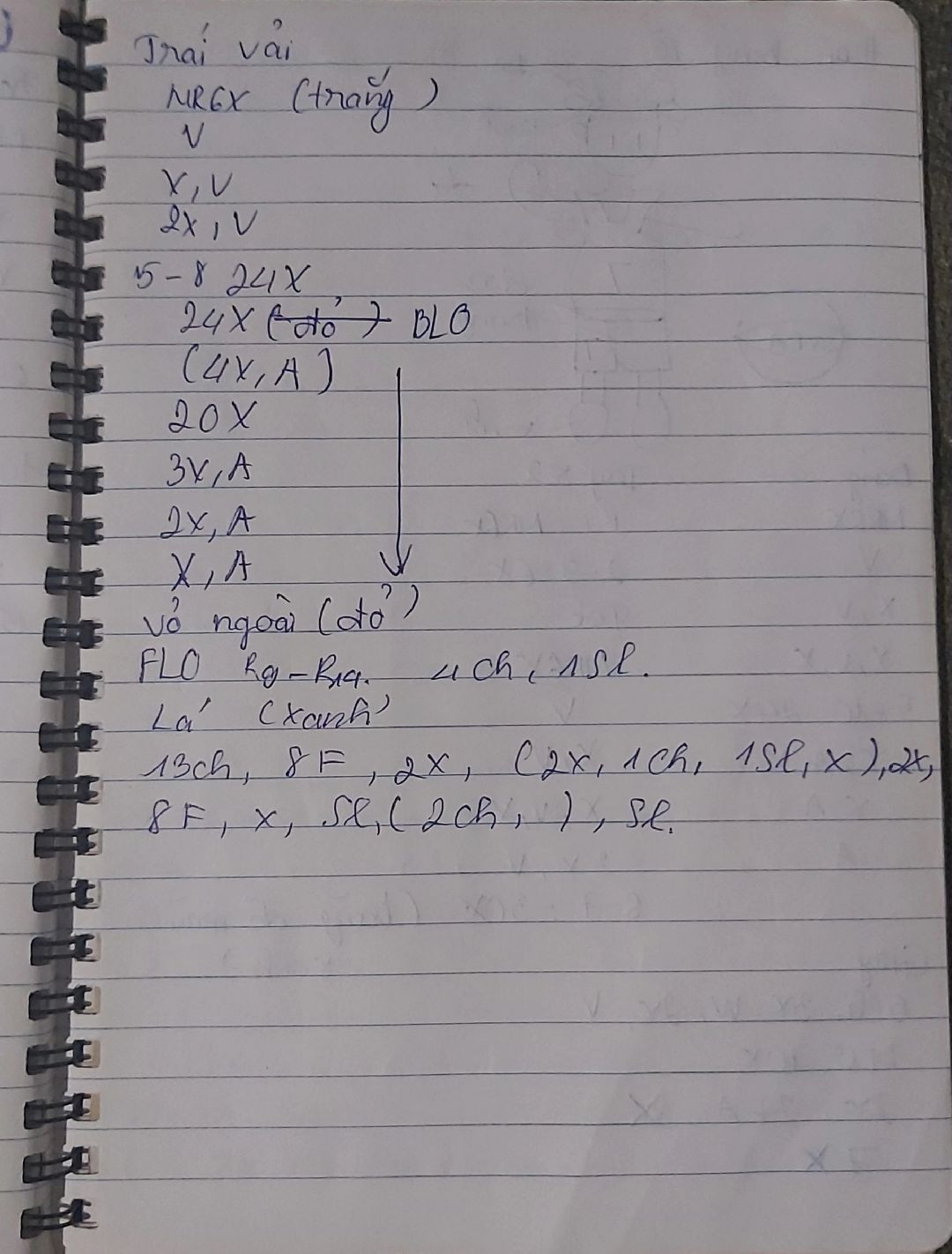 Hướng dẫn móc len trái cây dễ thương cho người mới bắt đầu