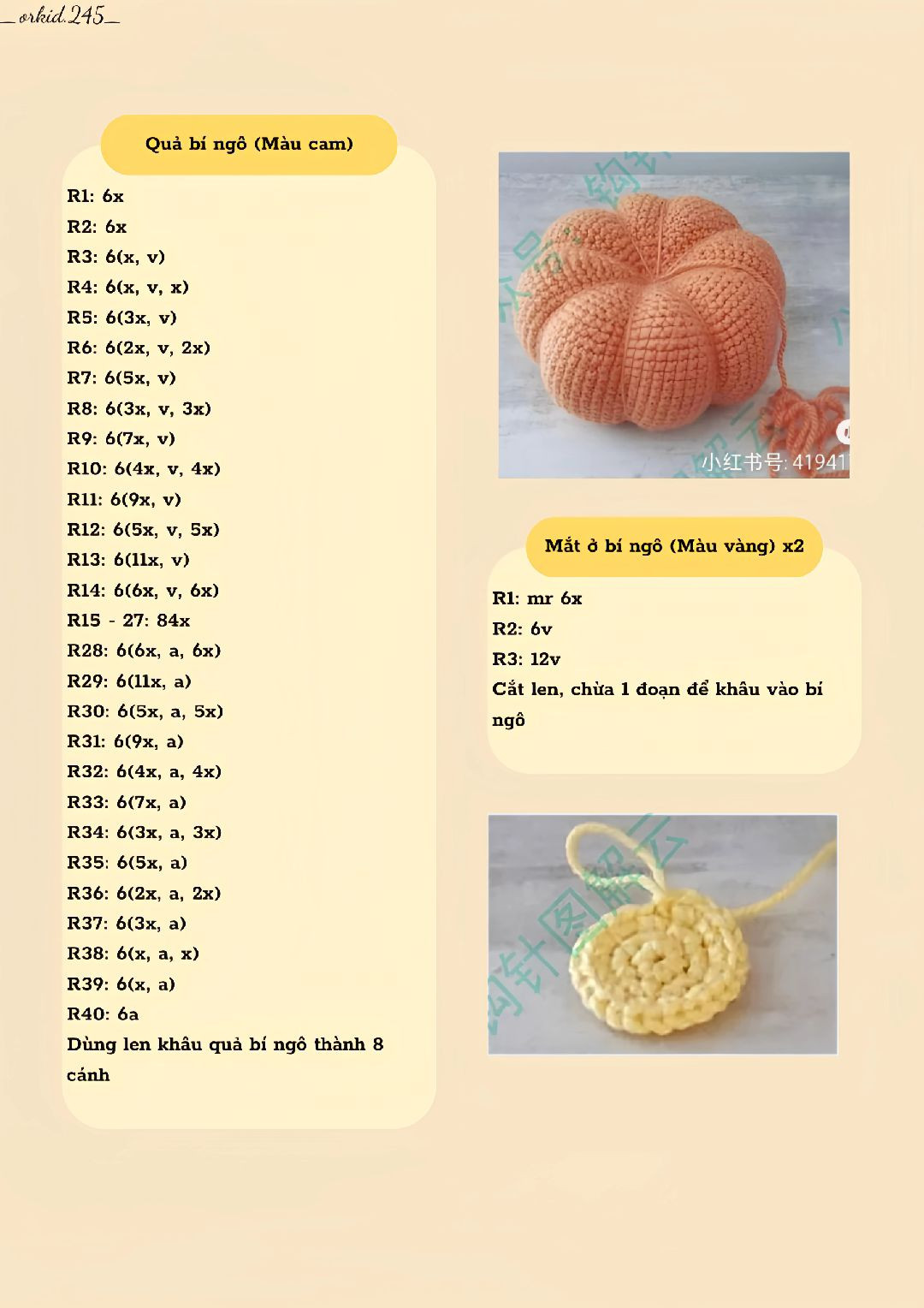 Mèo len hóa trang thành hoa hướng dương đáng yêu