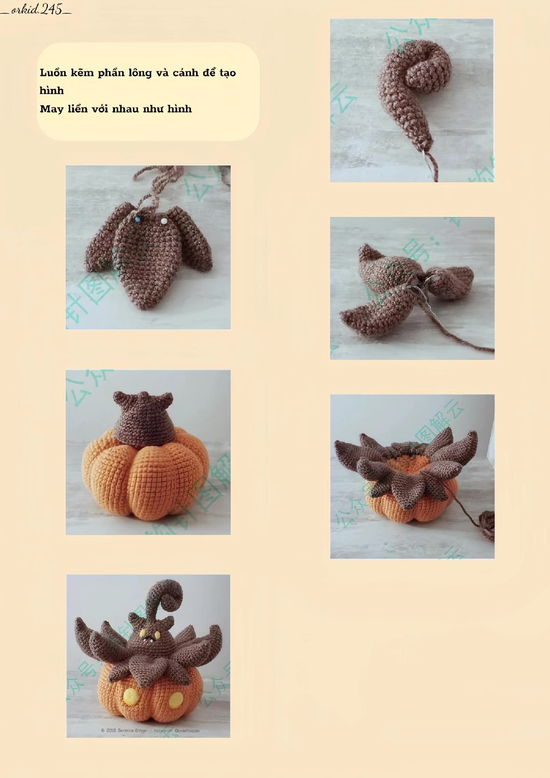 Mèo len hóa trang thành hoa hướng dương đáng yêu