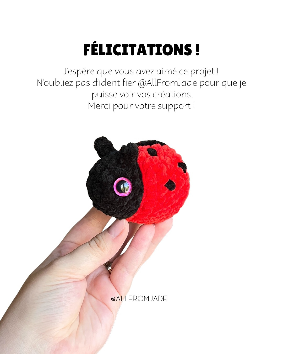 No-Sew Crochet Pattern for Cute Baby Ladybugs