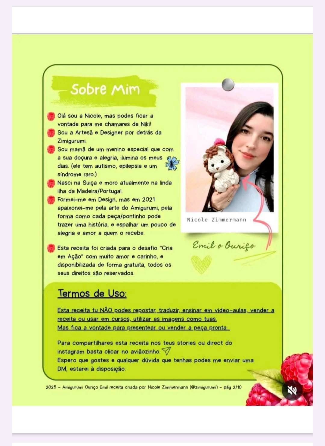 Amigurumi de Ouriço Adorável: Receita Gratuita para Crochê