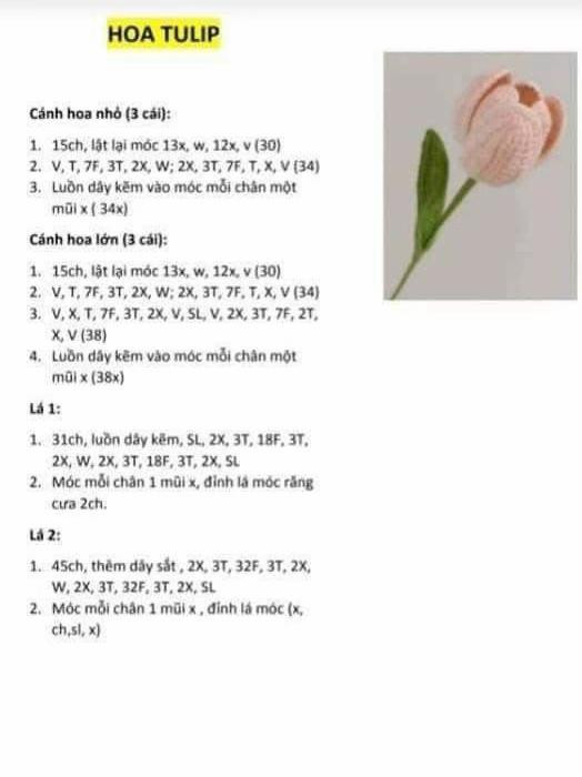 Bó hoa móc len rực rỡ với sắc cam vàng và trắng