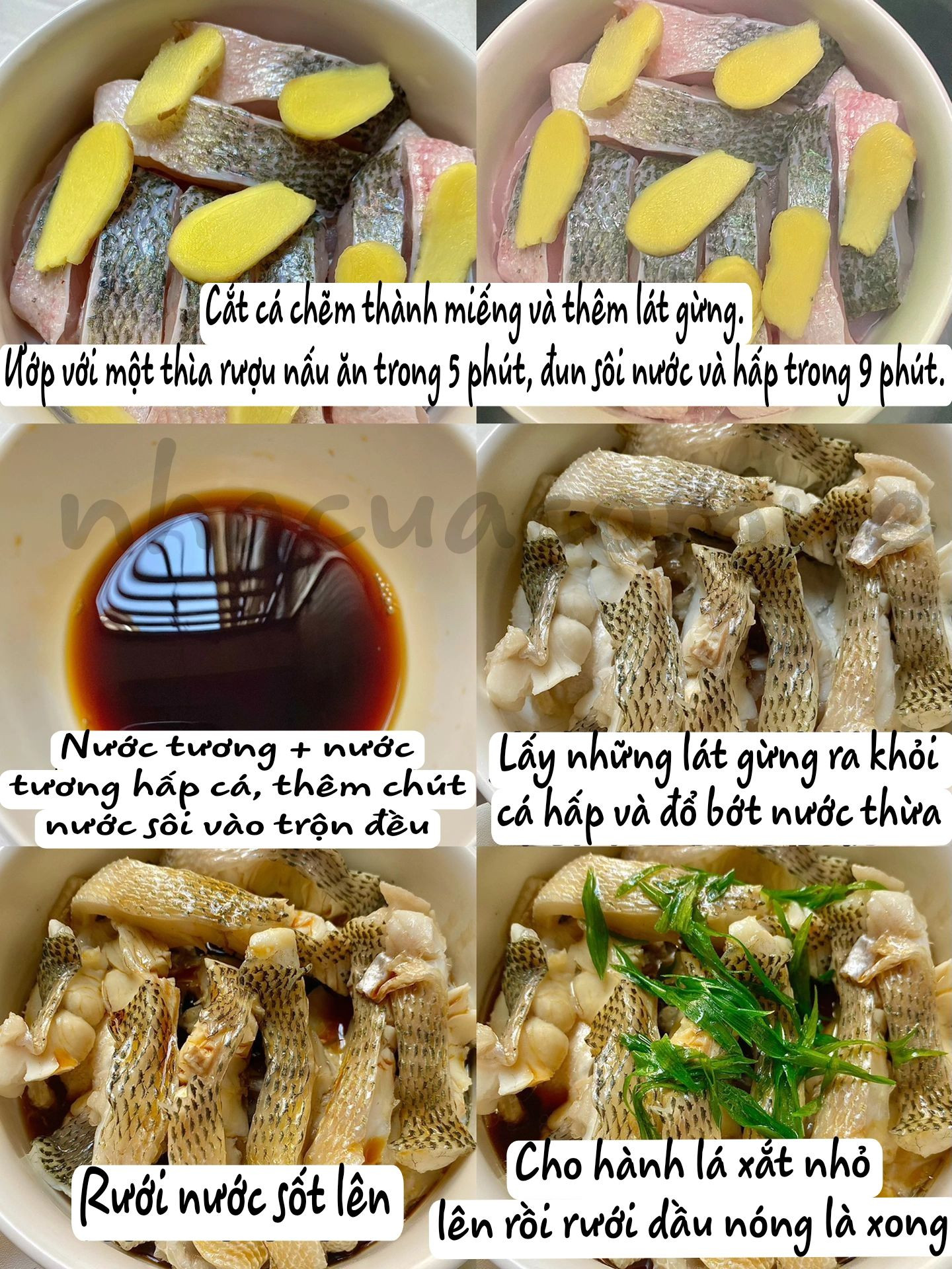 Cá Chẽm Hấp Thơm Ngon Cùng Hương Vị Cốm Dẻo