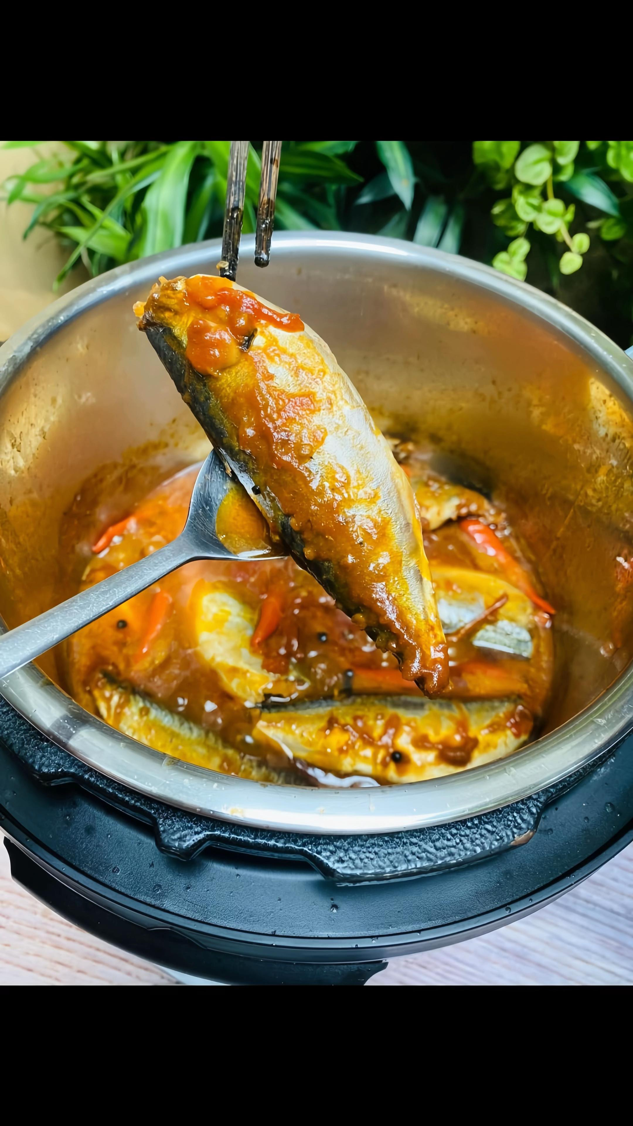 CÁ NỤC KHO RỤC XƯƠNG BẰNG NỒI ÁP SUẤT OLIVO PC60