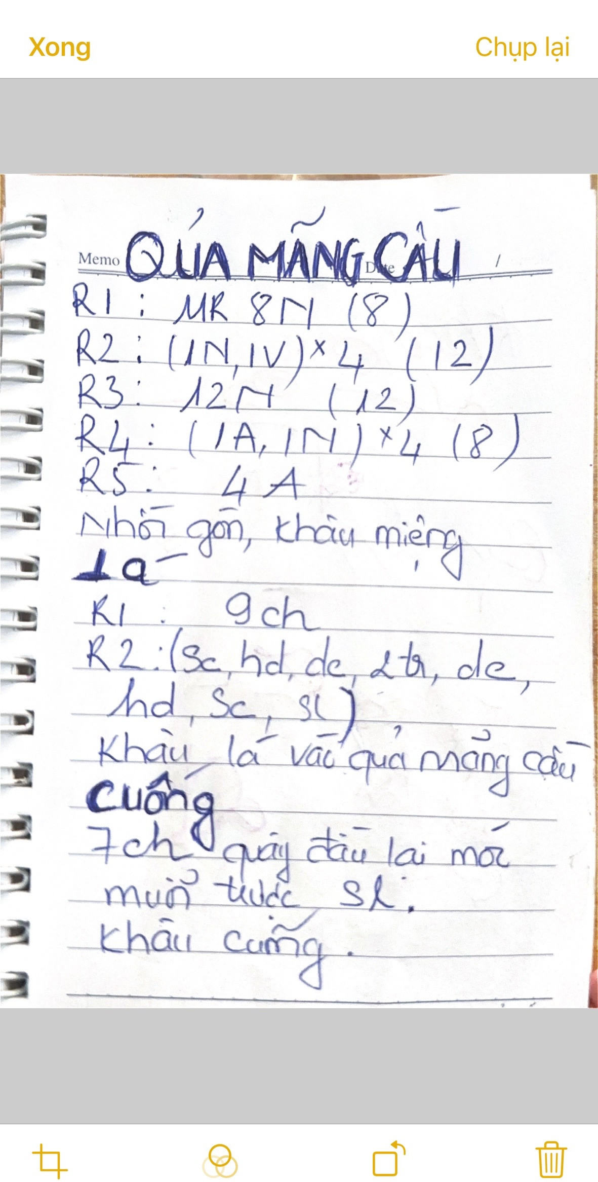 Chart móc len tạo quả mãng cầu dễ thương chi tiết