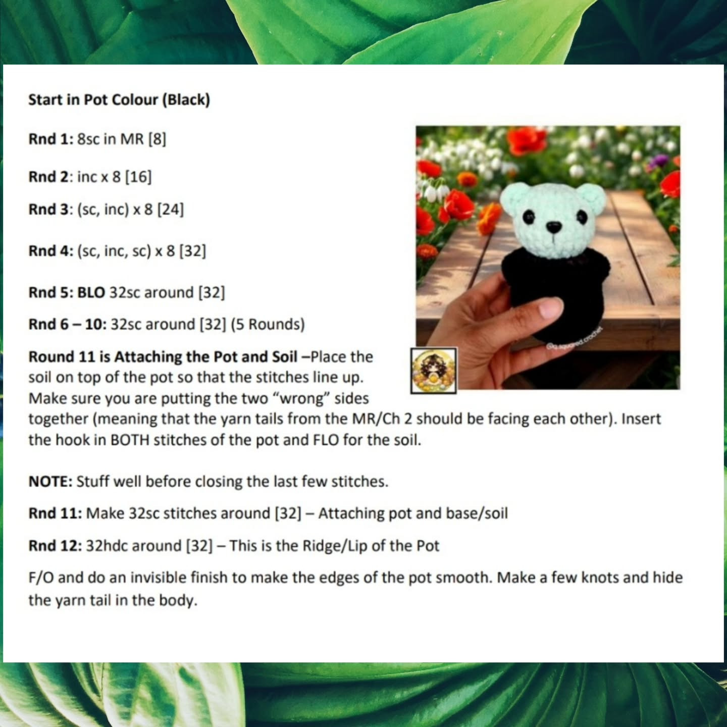 Create Baxter the Bear Cactus with Easy No-Sew Crochet Pattern