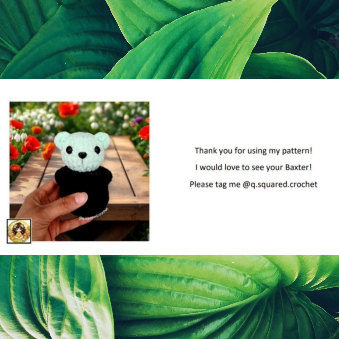 Create Baxter the Bear Cactus with Easy No-Sew Crochet Pattern