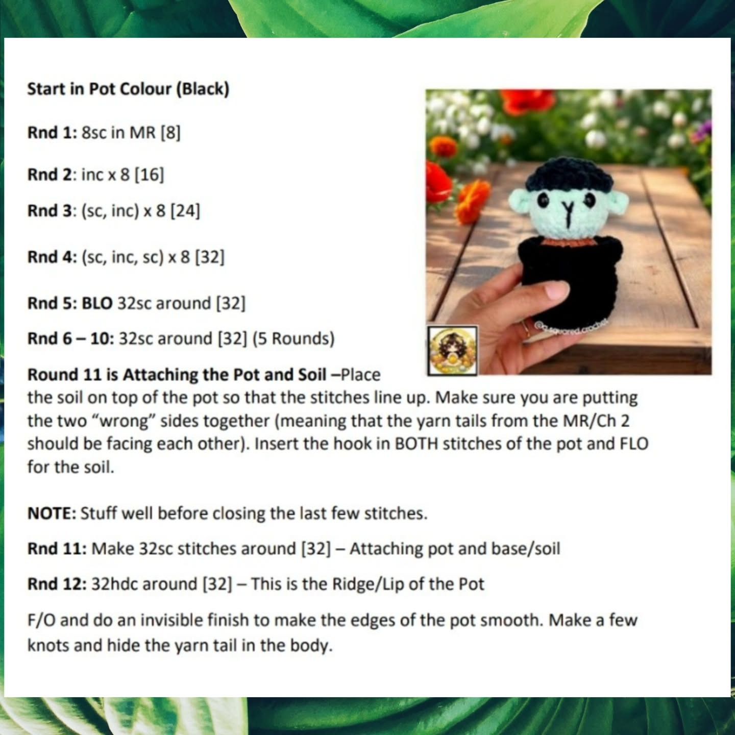 Lucas the Lamb Cactus Crochet Pattern for Beginners