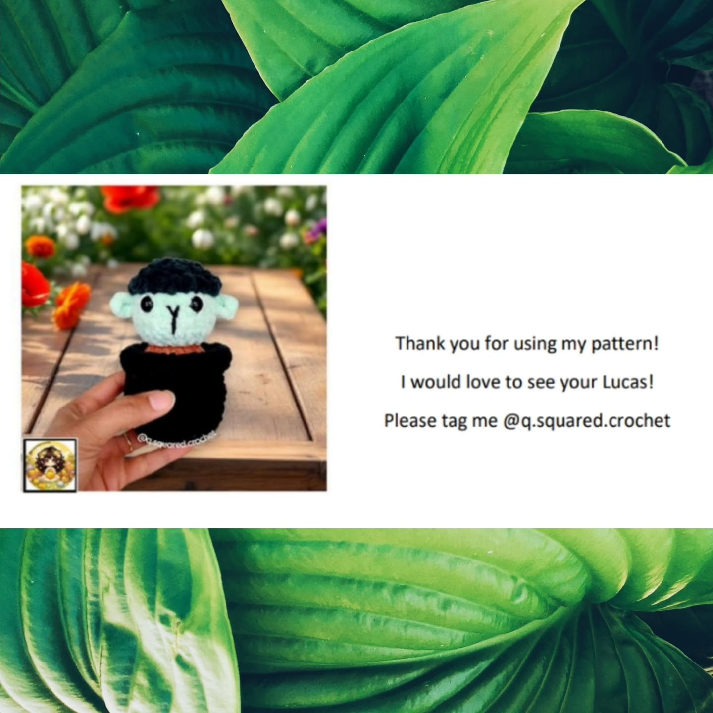Lucas the Lamb Cactus Crochet Pattern for Beginners