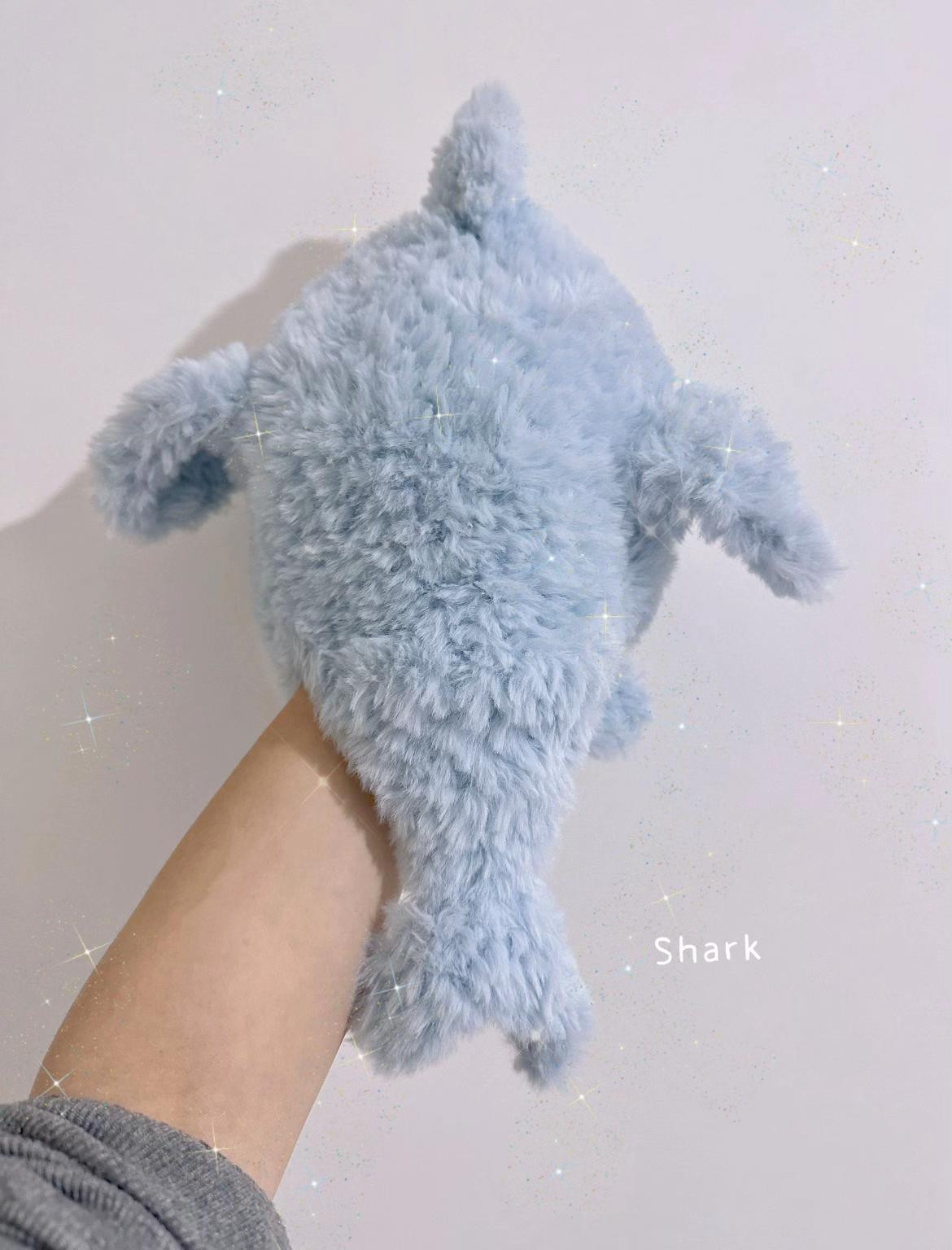 mũ đội cá mập