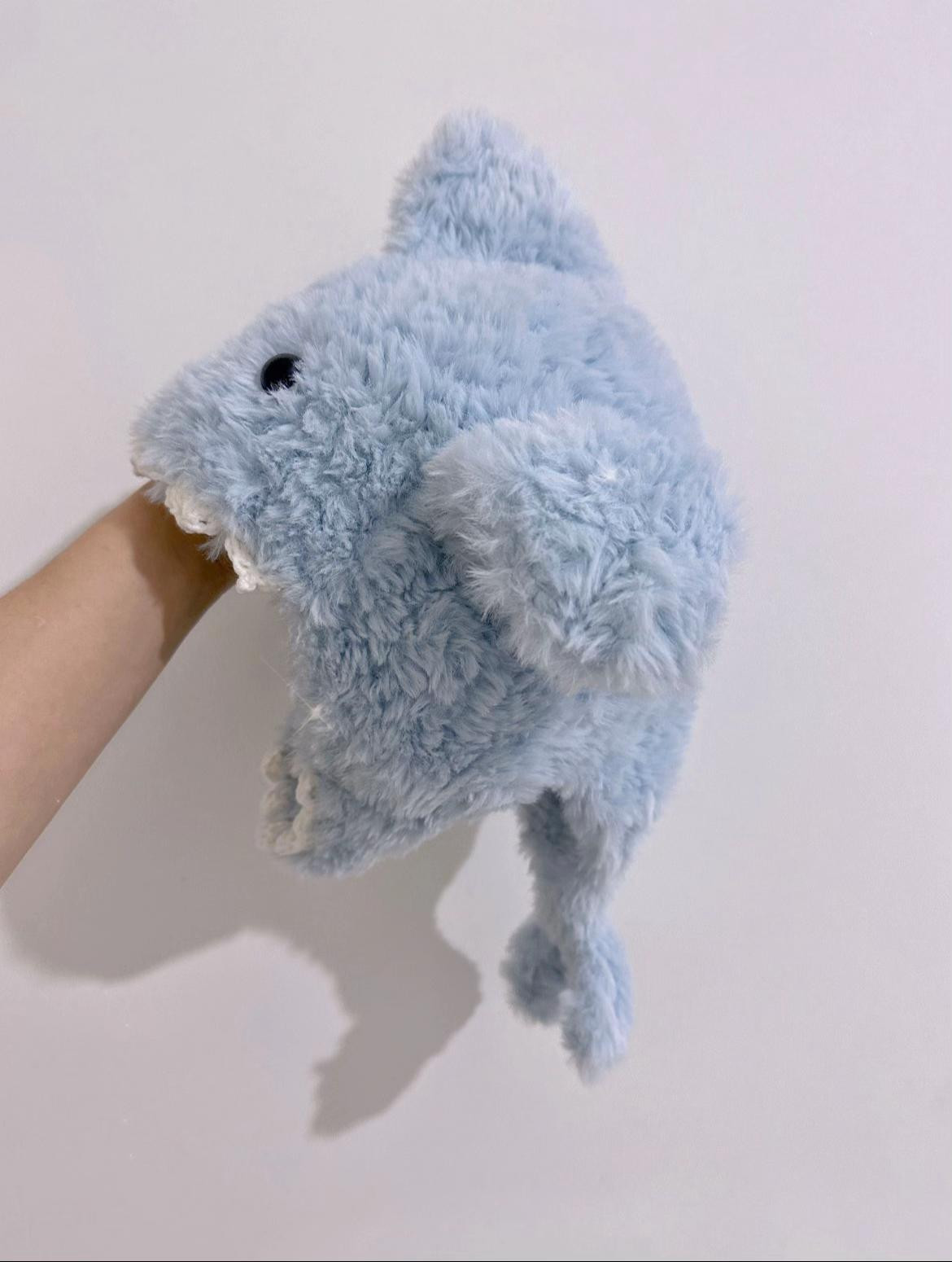 mũ đội cá mập