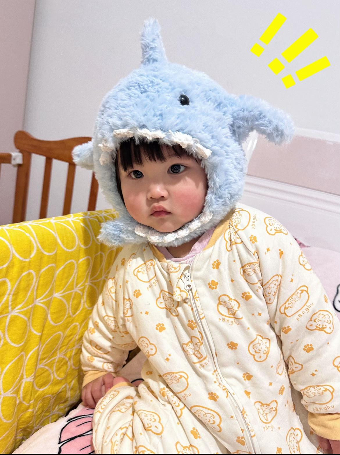 mũ đội cá mập