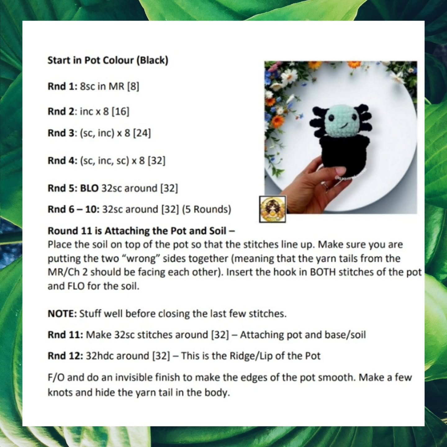 No Sew Aria the Axolotl Cactus Crochet Pattern