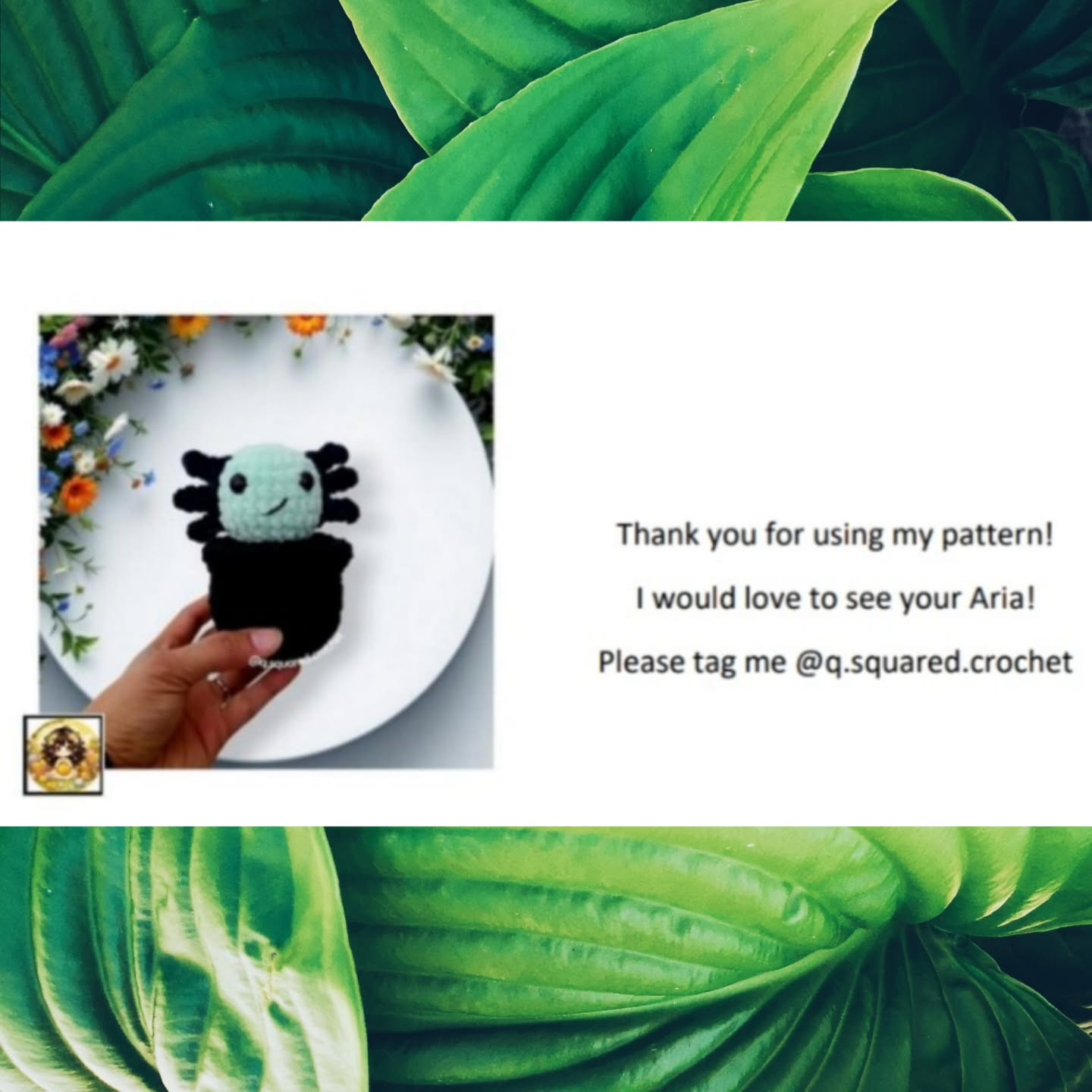 No Sew Aria the Axolotl Cactus Crochet Pattern