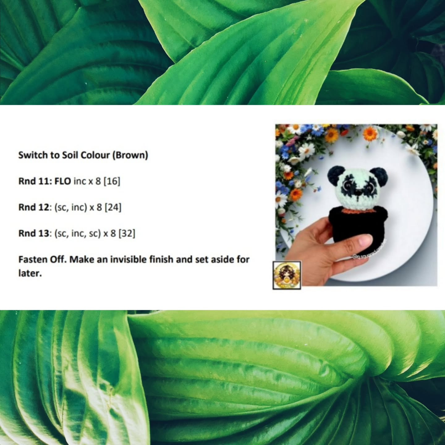 No Sew Peter the Panda Cactus Crochet Pattern