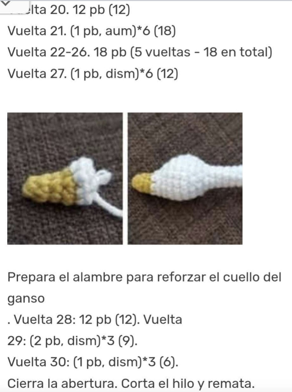 Patrón de ganso tejido a crochet detallado