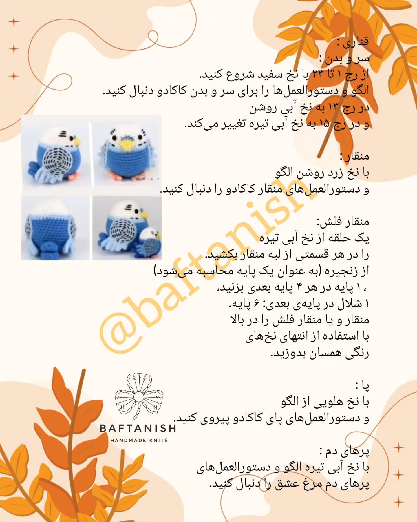 پرندگان قلاب‌بافی رنگارنگ در حال استراحت بر روی چوب