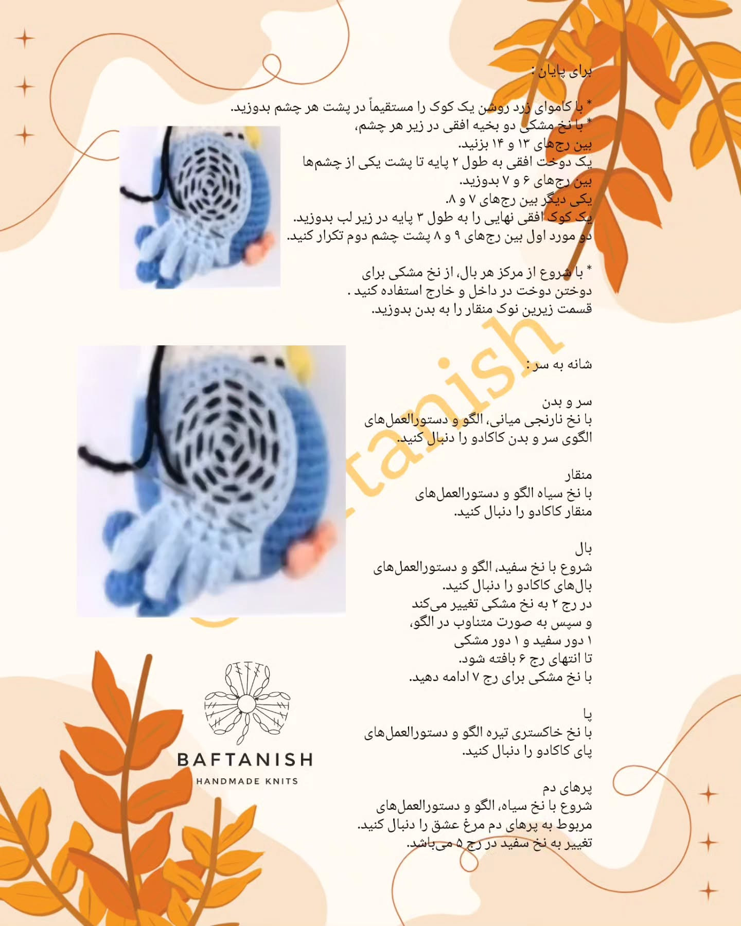 پرندگان قلاب‌بافی رنگارنگ در حال استراحت بر روی چوب
