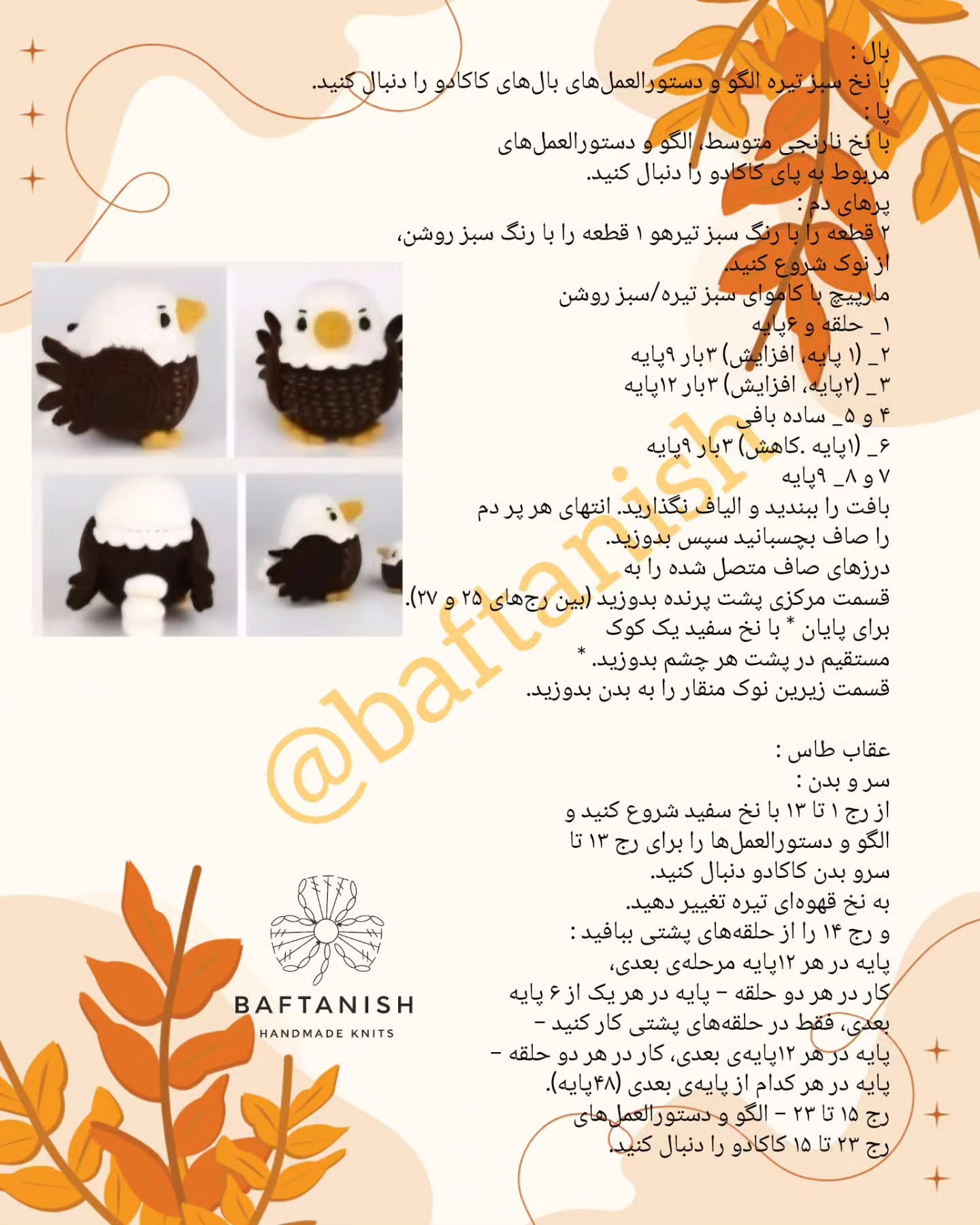 پرندگان قلاب‌بافی رنگارنگ در حال استراحت بر روی چوب