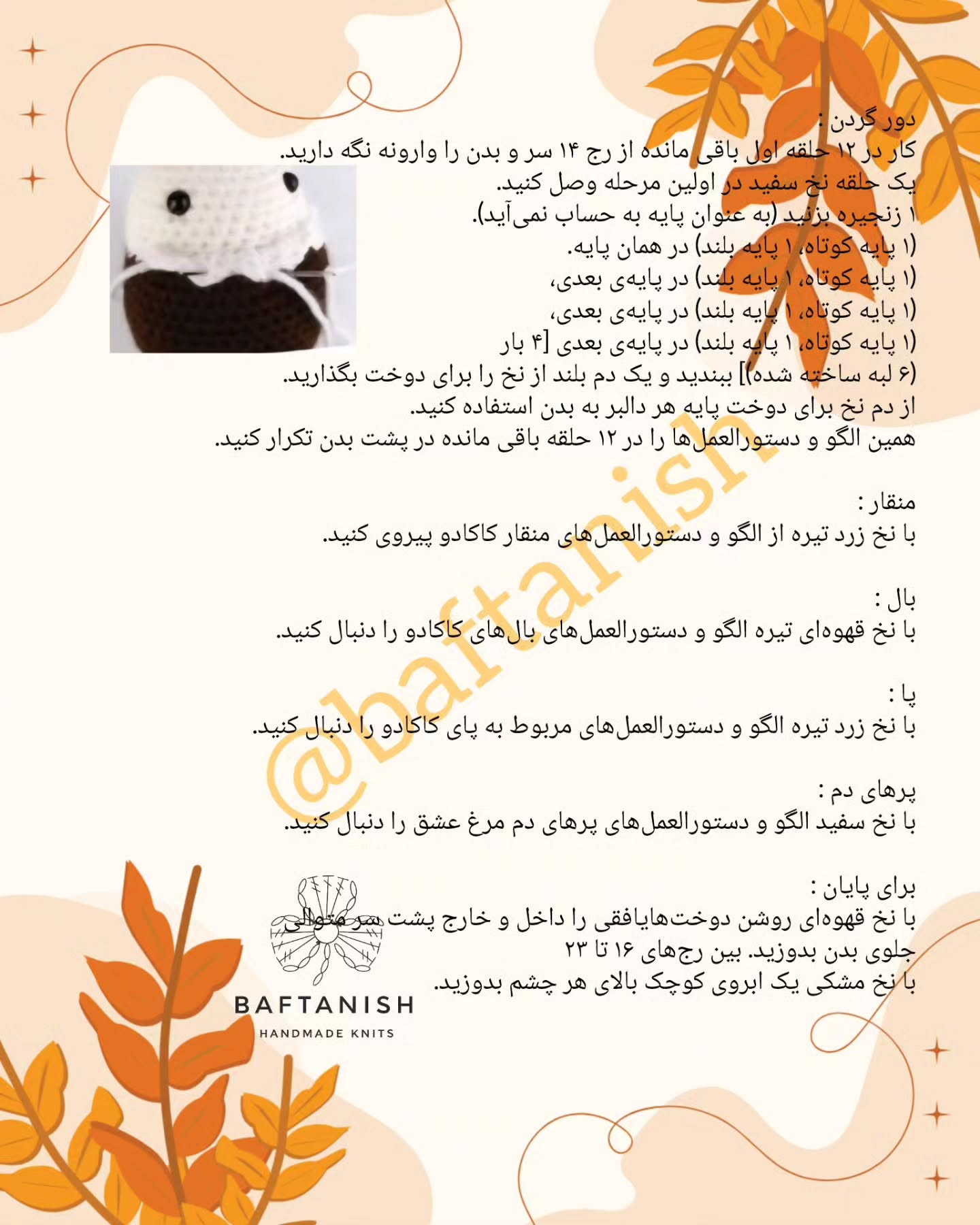 پرندگان قلاب‌بافی رنگارنگ در حال استراحت بر روی چوب