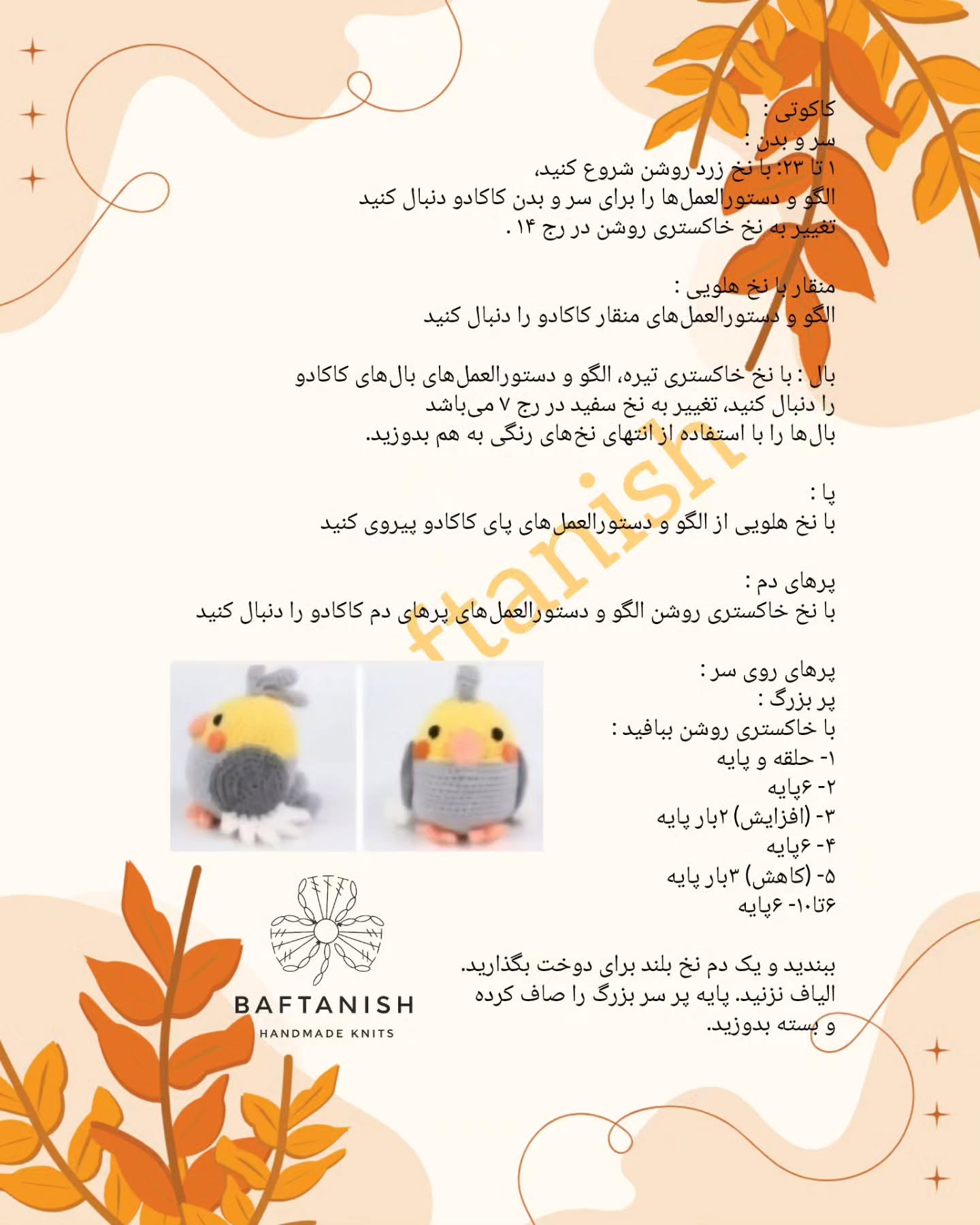 پرندگان قلاب‌بافی رنگارنگ در حال استراحت بر روی چوب
