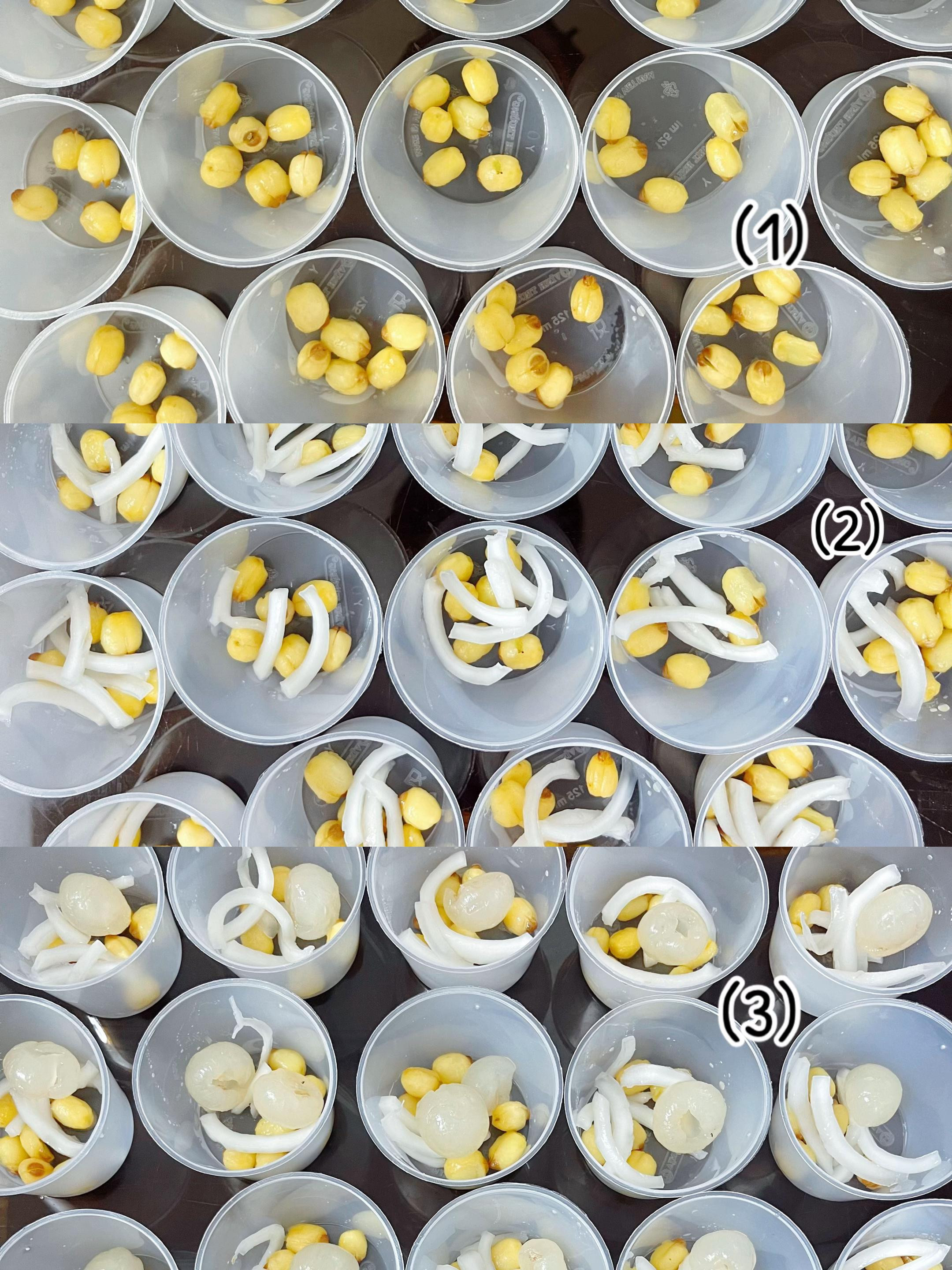 RAU CÂU SEN NHÃN KEM CHEESE
