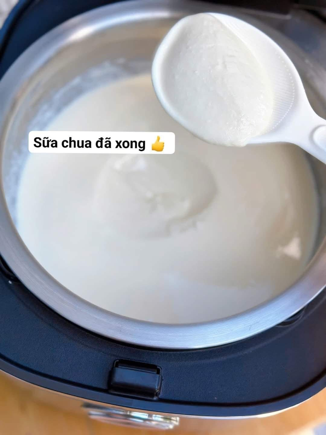 Sữa Chua Mịn Màng Từ Sữa Tươi Đặc Biệt