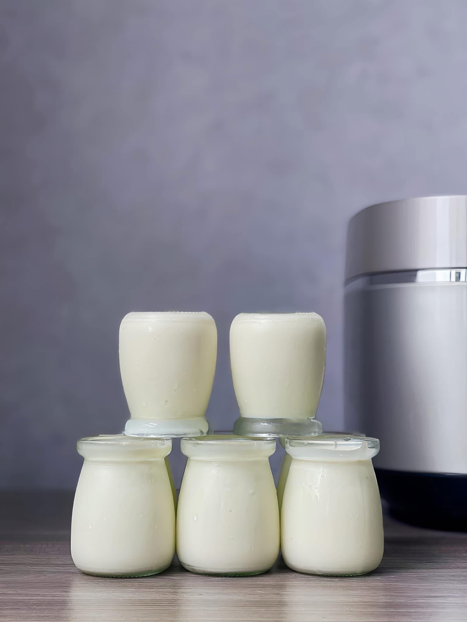 Sữa Chua Mịn Màng Từ Sữa Tươi Đặc Biệt