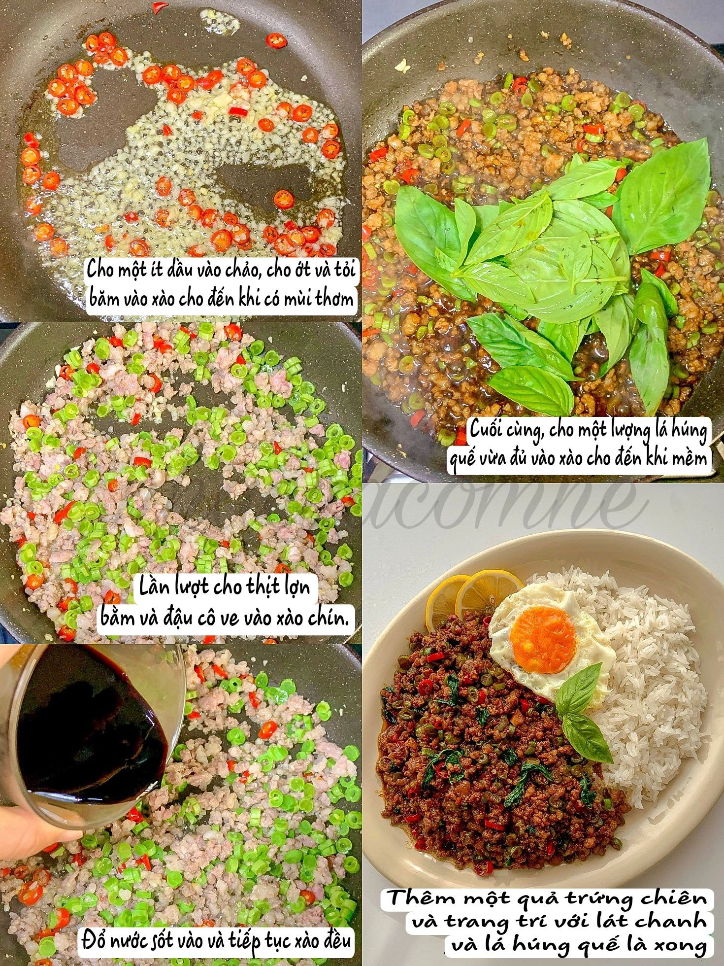 Thịt Heo Bằm Xào Húng Quế Đậm Đà Hương Vị Thái Lan