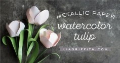 Hướng dẫn các làm hoa tulip bằng giấy màu.