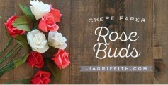Hướng dẫn cách làm hoa hồng bằng giấy nhún siêu đẹp.