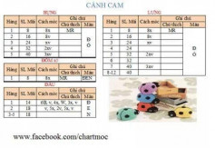 Chart móc cánh cam siêu dễ thương