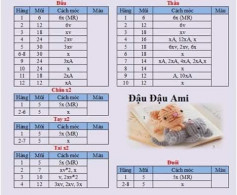 Chart móc chú mèo dễ thương đang nằm chơi.